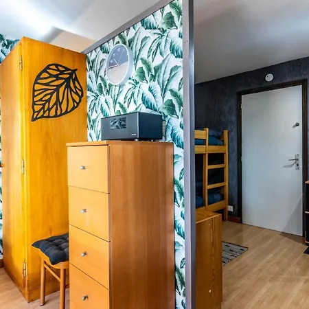 Pied Des Pistes - Balcon - Chiens Bienvenus Apartment *